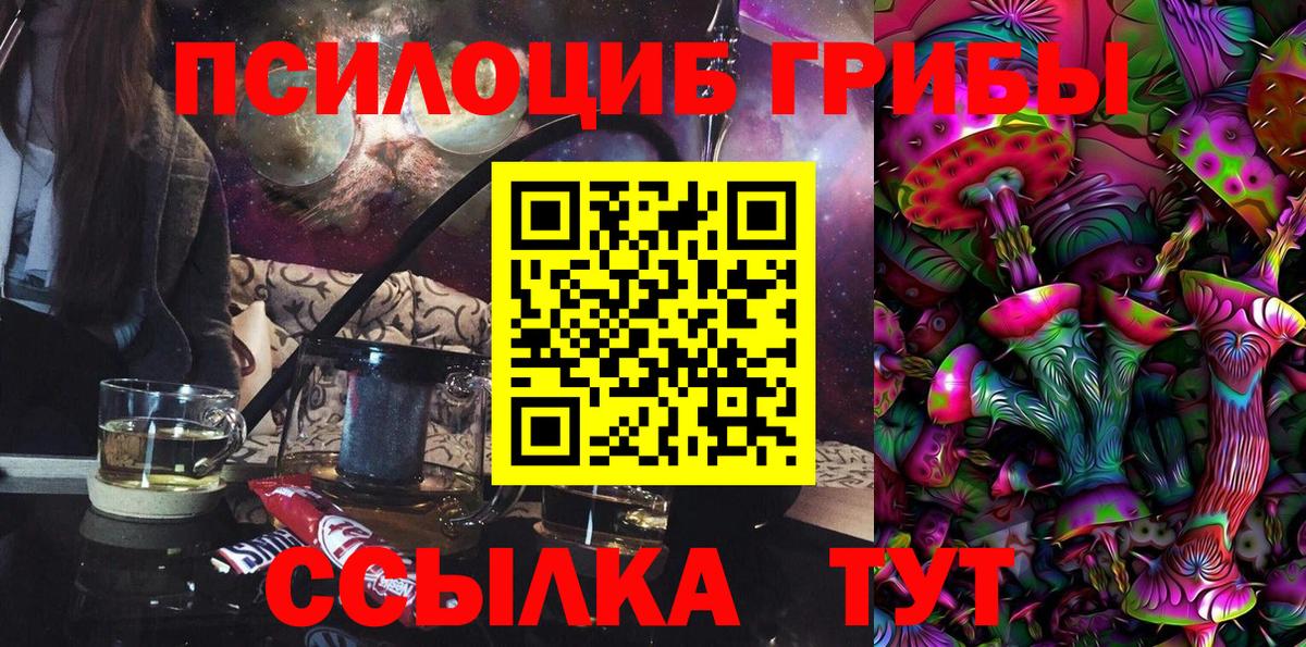 Михайловск  Галлюциногенные грибы Magic Shrooms  наркошоп  Вход с VPN  Галлюциногенные грибы GOLDEN TEACHER 